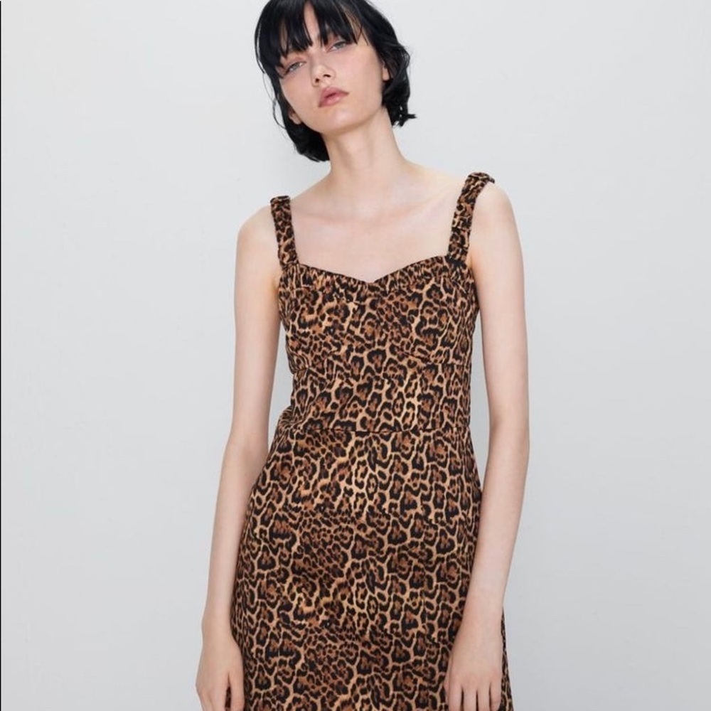 Zara Cheetah Print Dress - Picture 1 of 5